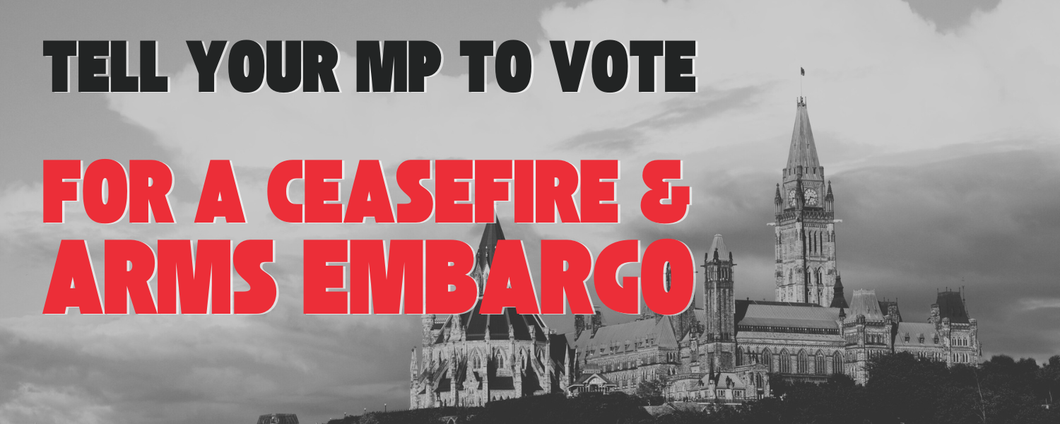 Tell Your MP to Vote for a Ceasefire & Arms Embargo