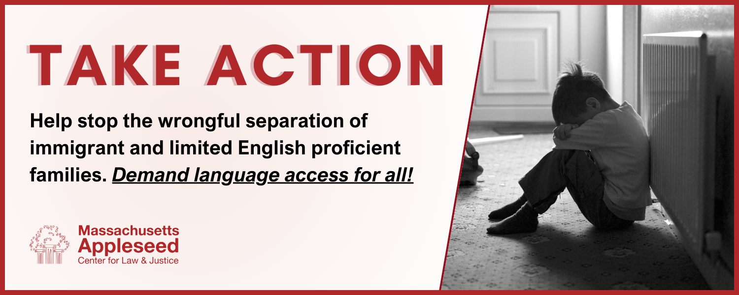 Take Action. Help stop the wrongful separation of immigrant and limited English proficient families. Demand language access for all!