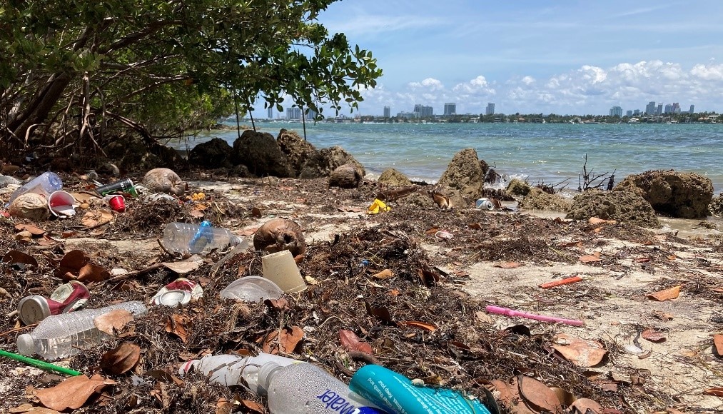 Plastic waste looking at Biscayne Bay