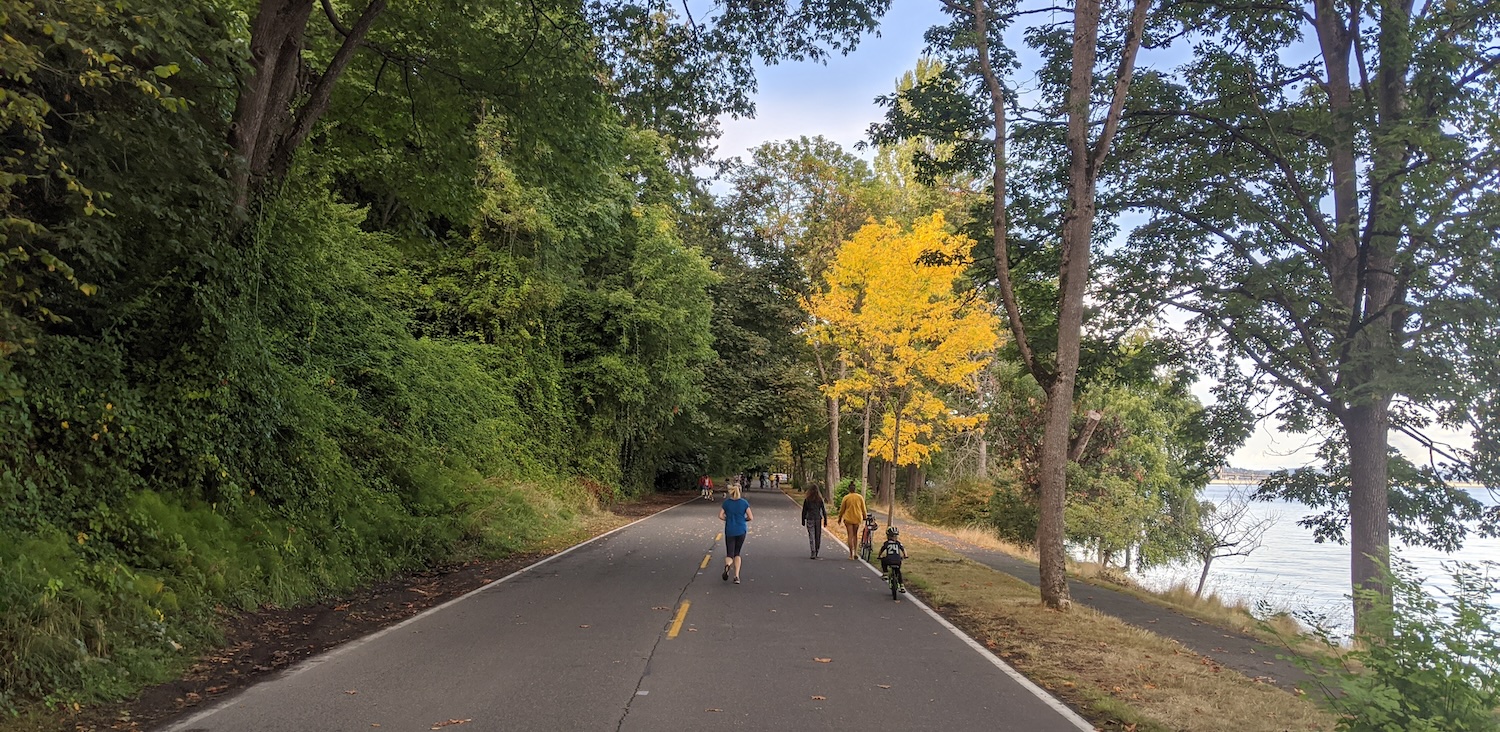 Photo of people enjoying lake washington boulevard walking and rolling in the fall