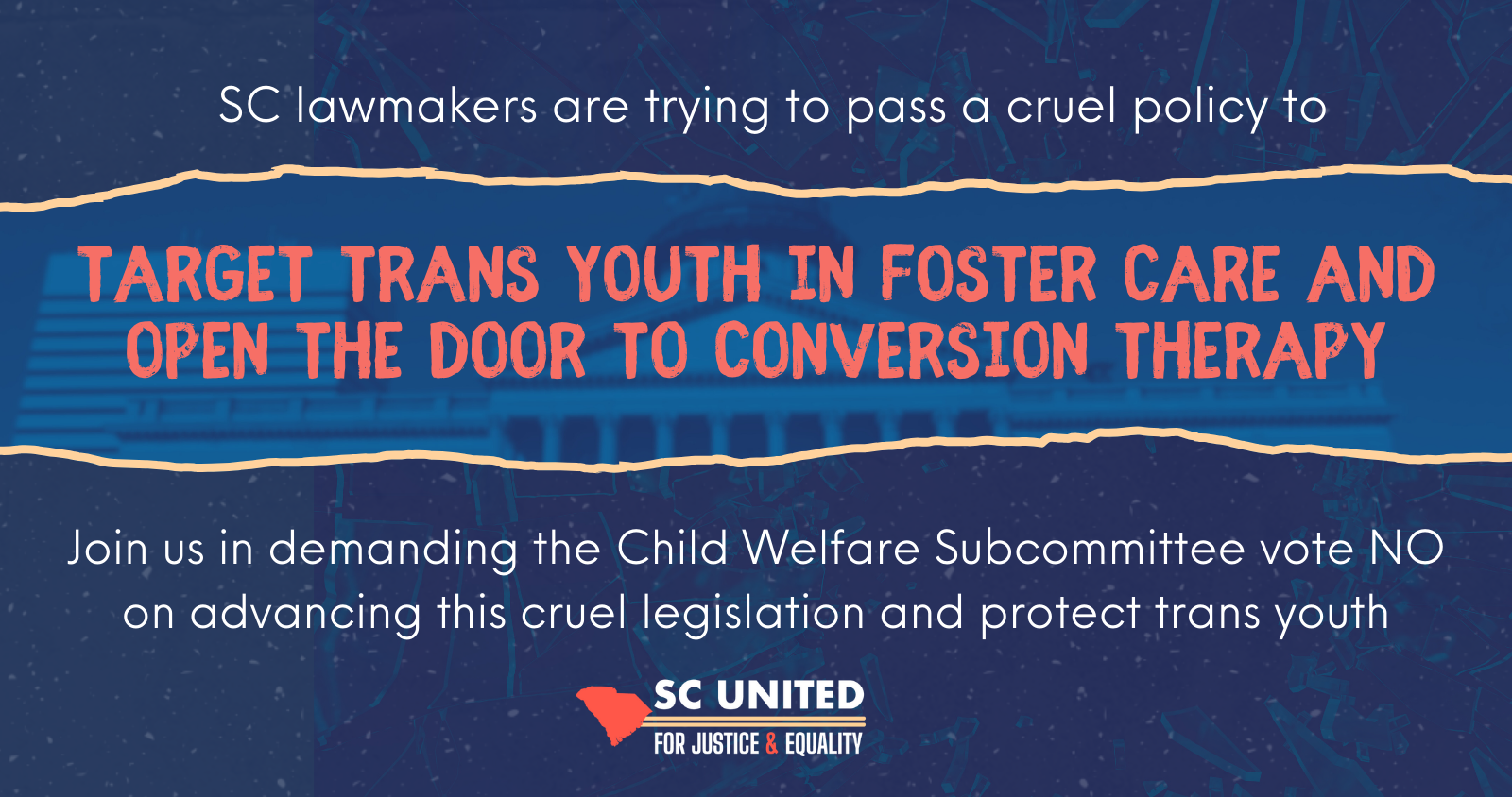 Tell South Carolina Lawmakers: Reject Anti-Trans Bills