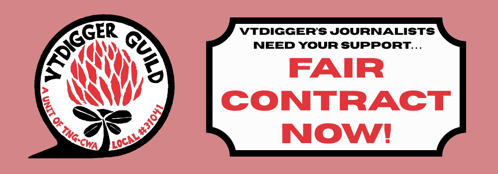 VTDG Banner