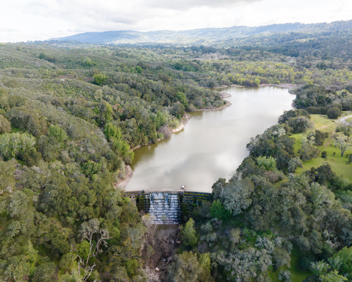Searsville Dam