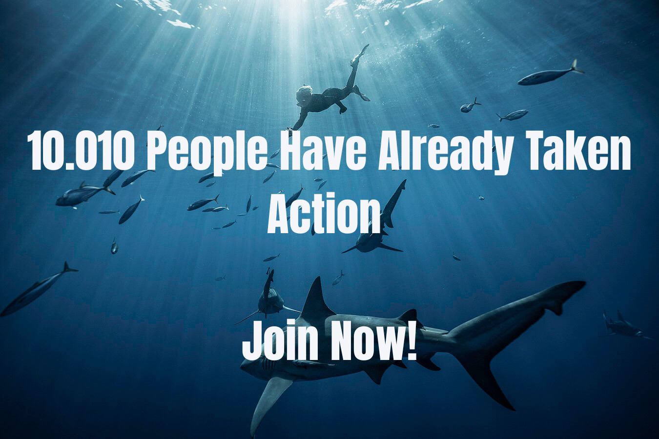 An image of a shark with an overlay that states: 10010 people have already taken action - Join Now