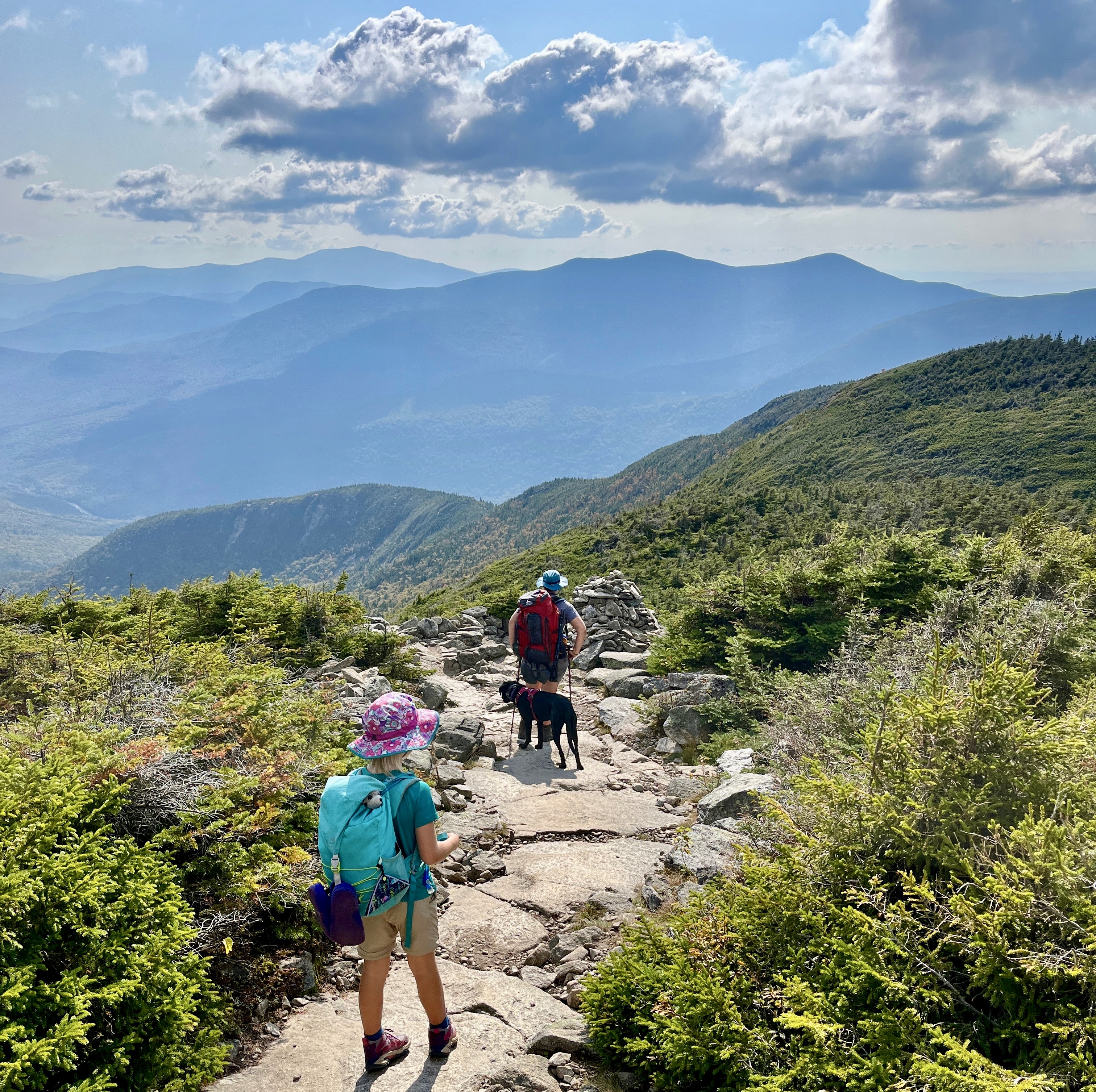 Franconia Ridge, Pemigewasset Inventoried Roadless Area, with Kinsman, Mt Wolf-Gordon Pond, and Jobildunk Inventoried Roadless Areas in the distance