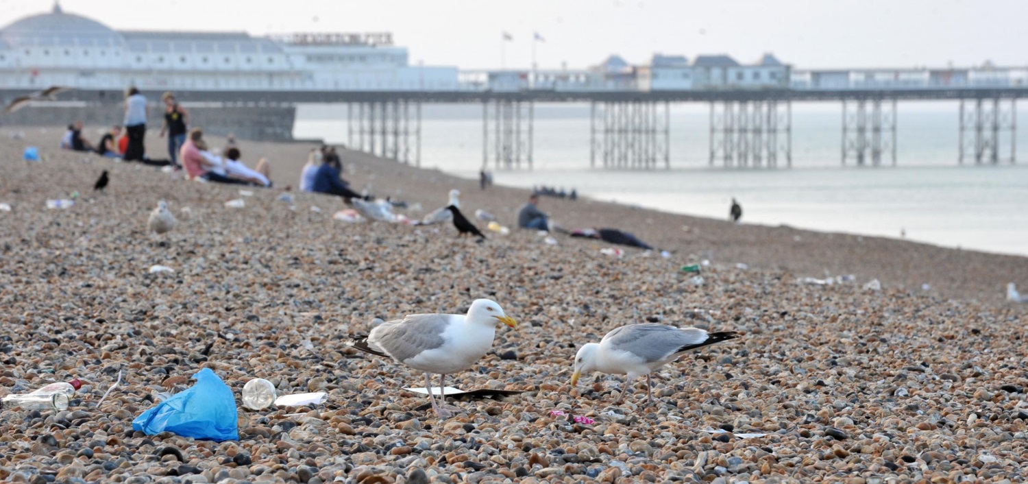 Seagulls and rubbish on Bigtown beach