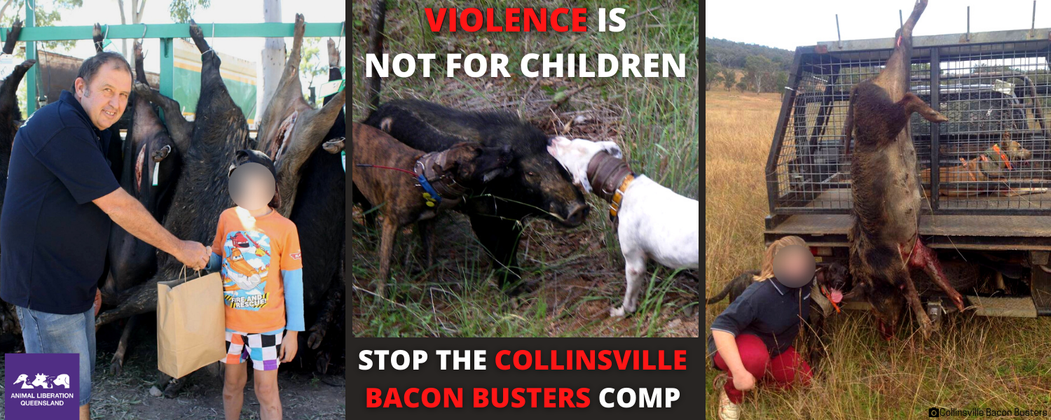 Violence is not for children. Stop the Collinsville Bacon Buster Comp.