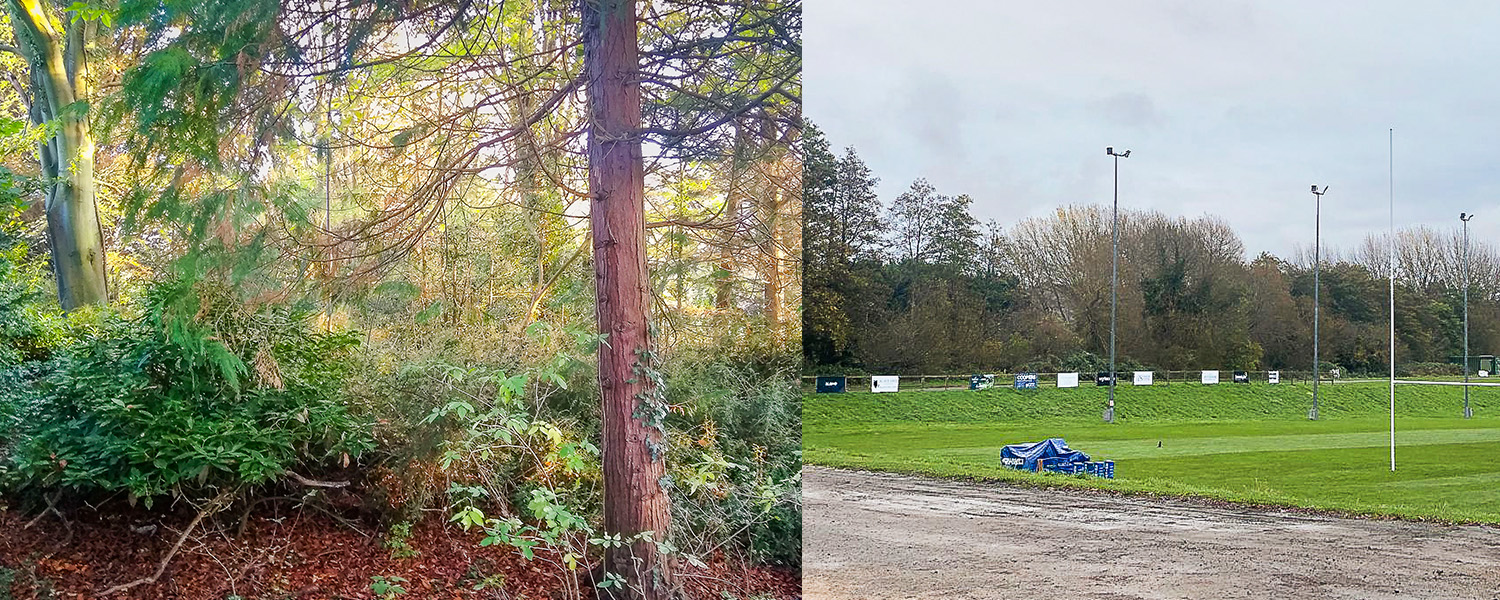 Bath Rugby training ground wooded area at risk from new Lidl store