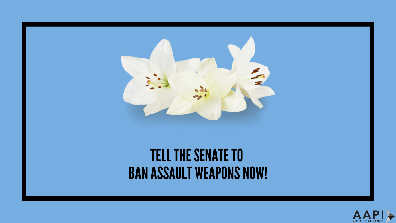 Petition graphic for Senate to ban assault weapons