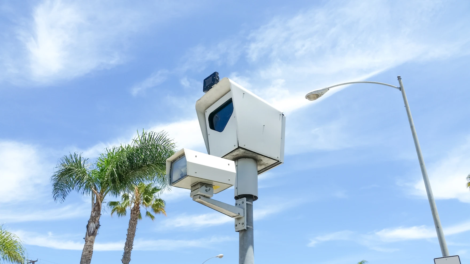 A speed camera on a pole with palm trees and a street light behind.