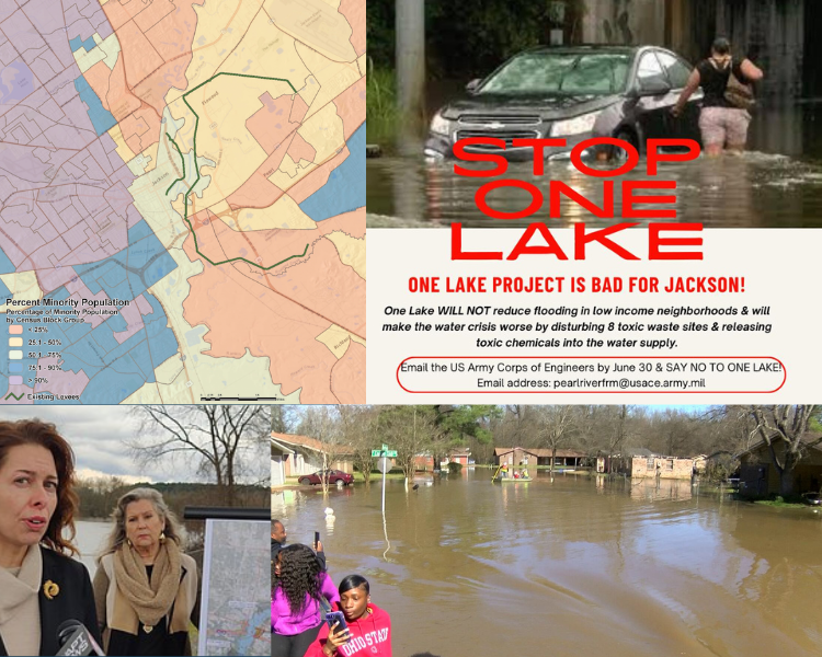Stop One Lake collage