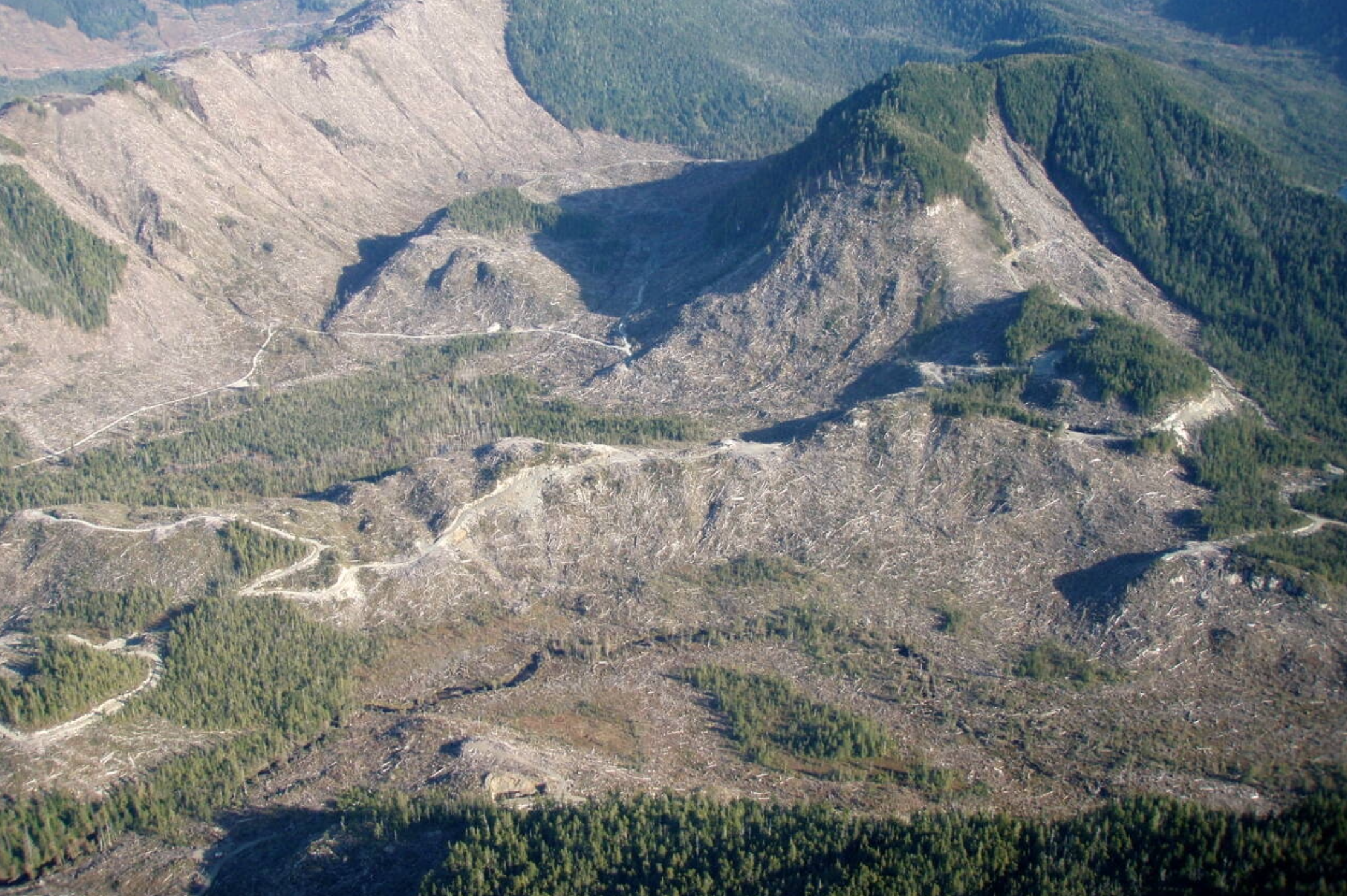Old growth logging on lands privatized from the Tongass in 2014