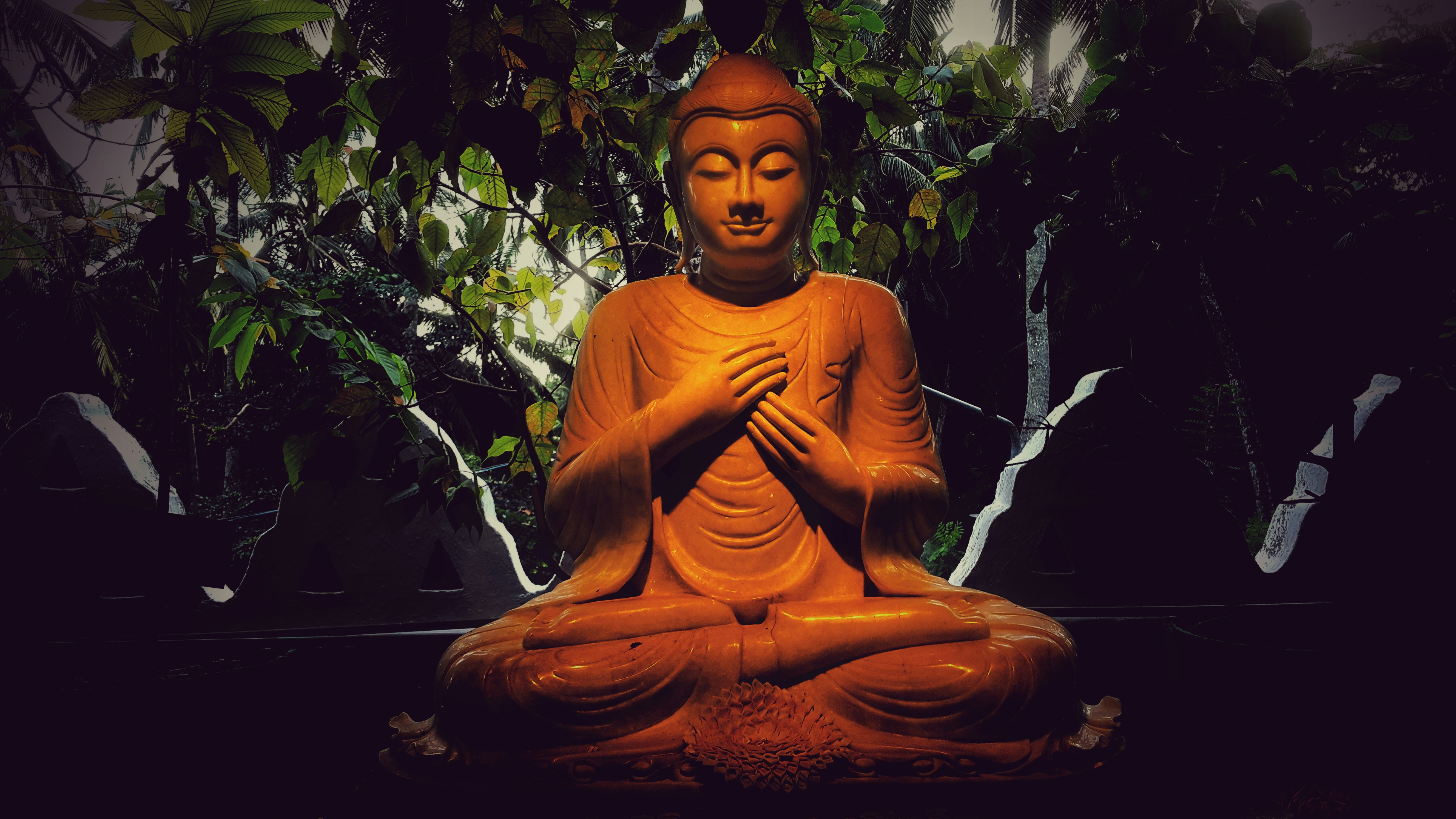 Seated Buddha Statue