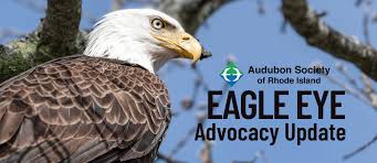 Audubon Society of Rhode Island Advocacy Update
