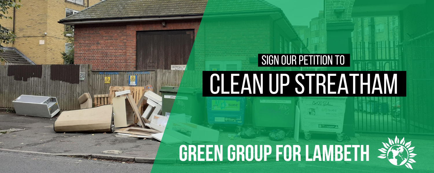 Image of flytipping in Streatham with Green Logo, and text "sign our petition, Clean Up Streatham"