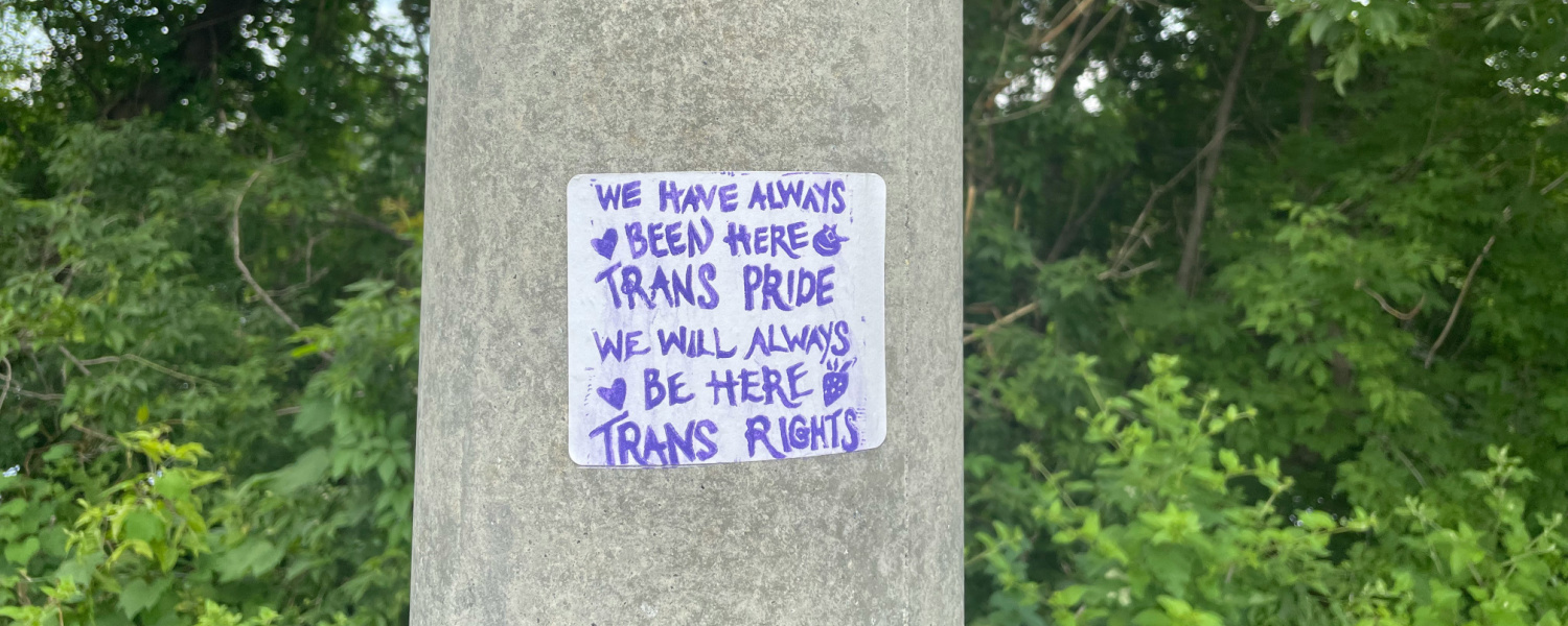 concrete pillar in front of green trees with sign that reads "we have always been here / TRANS PRIDE / we will always be here / TRANS RIGHTS"