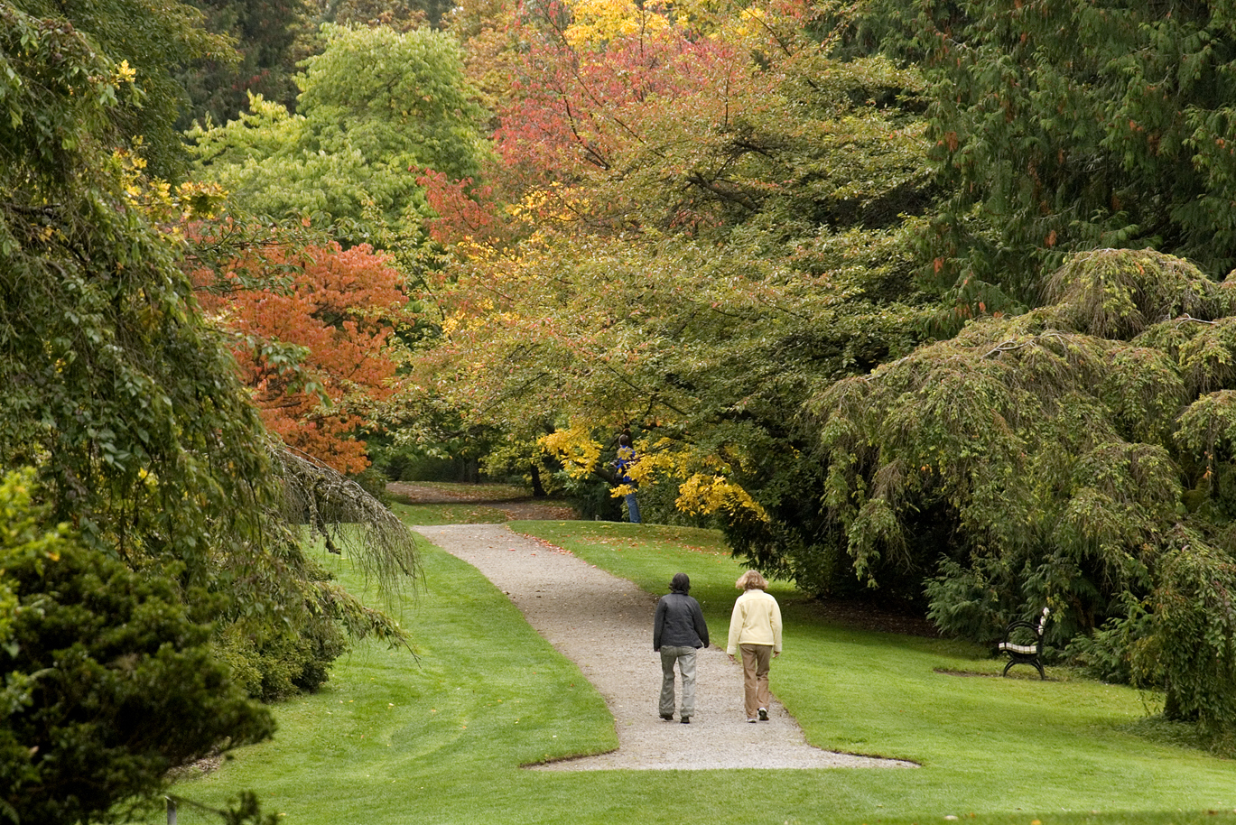 Image of people walking in Arboretum landscape
