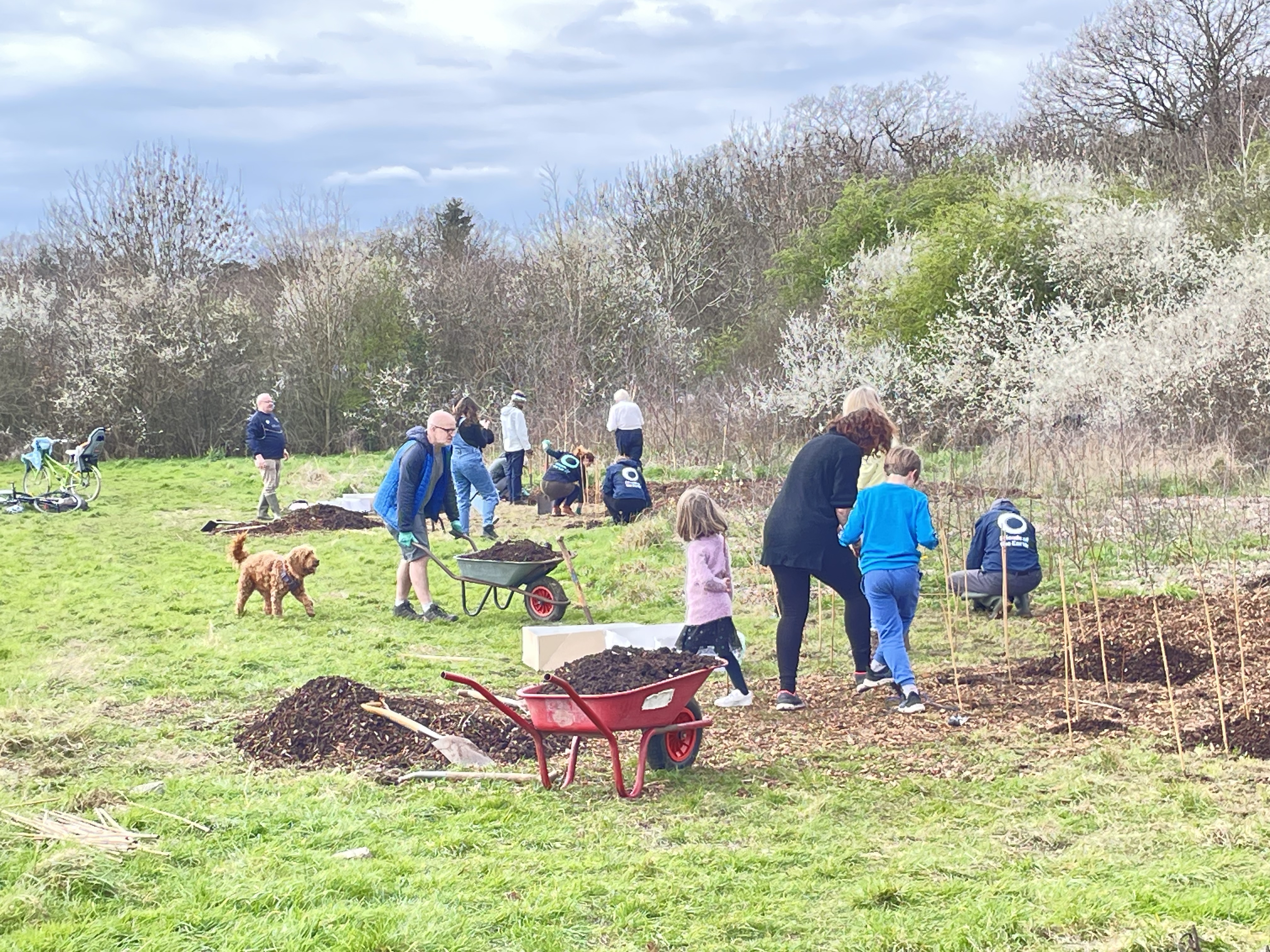 Families Care for Morden Park