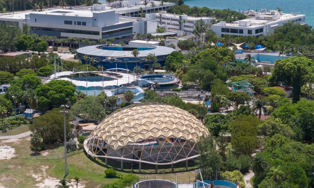 Aerial view of the Miami Seaquarium on Virginia Key. (Photo courtesy of WLRN)