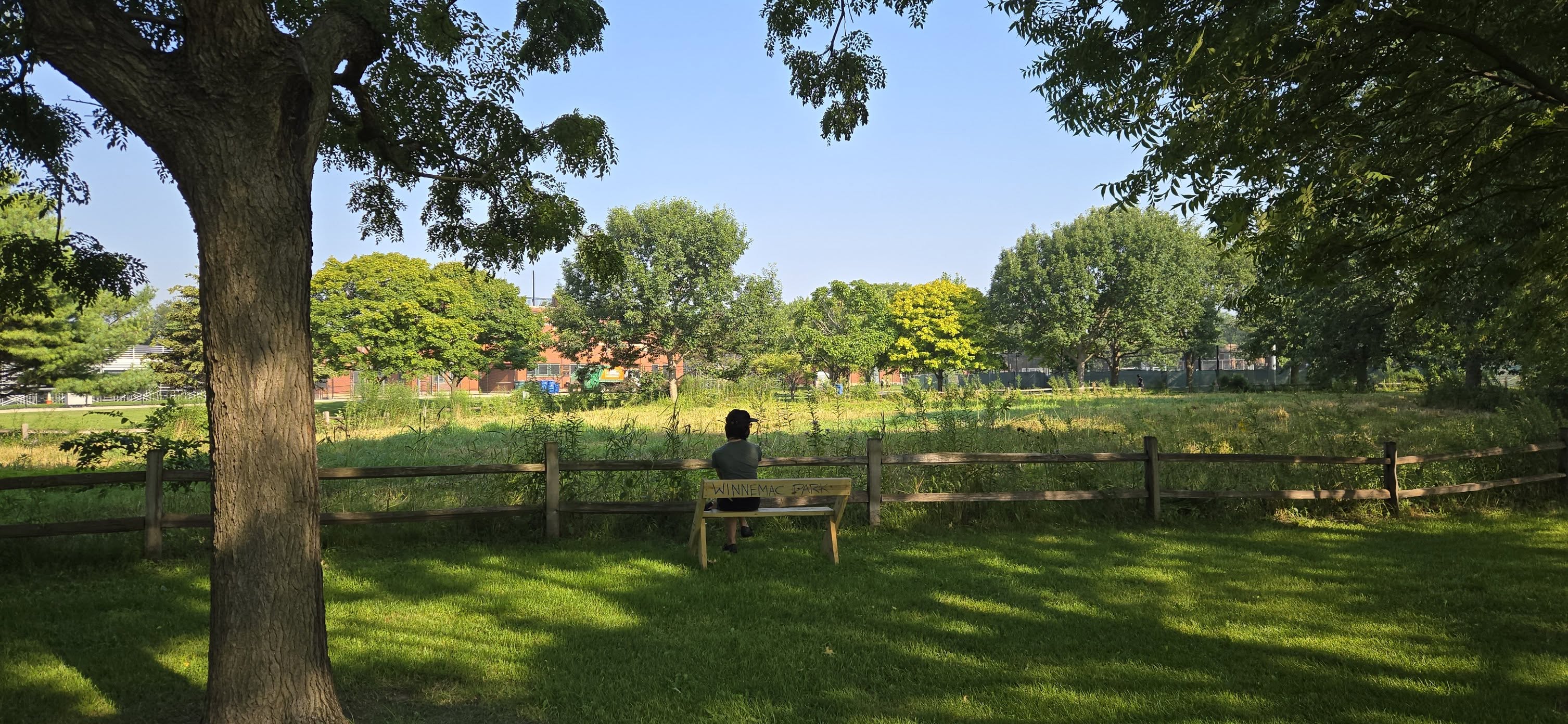 bench in park