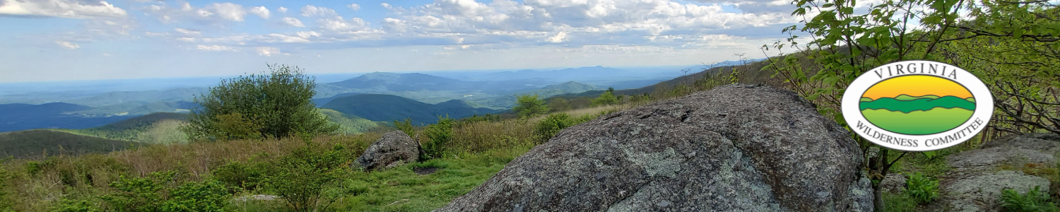 View of George Washington National Forest