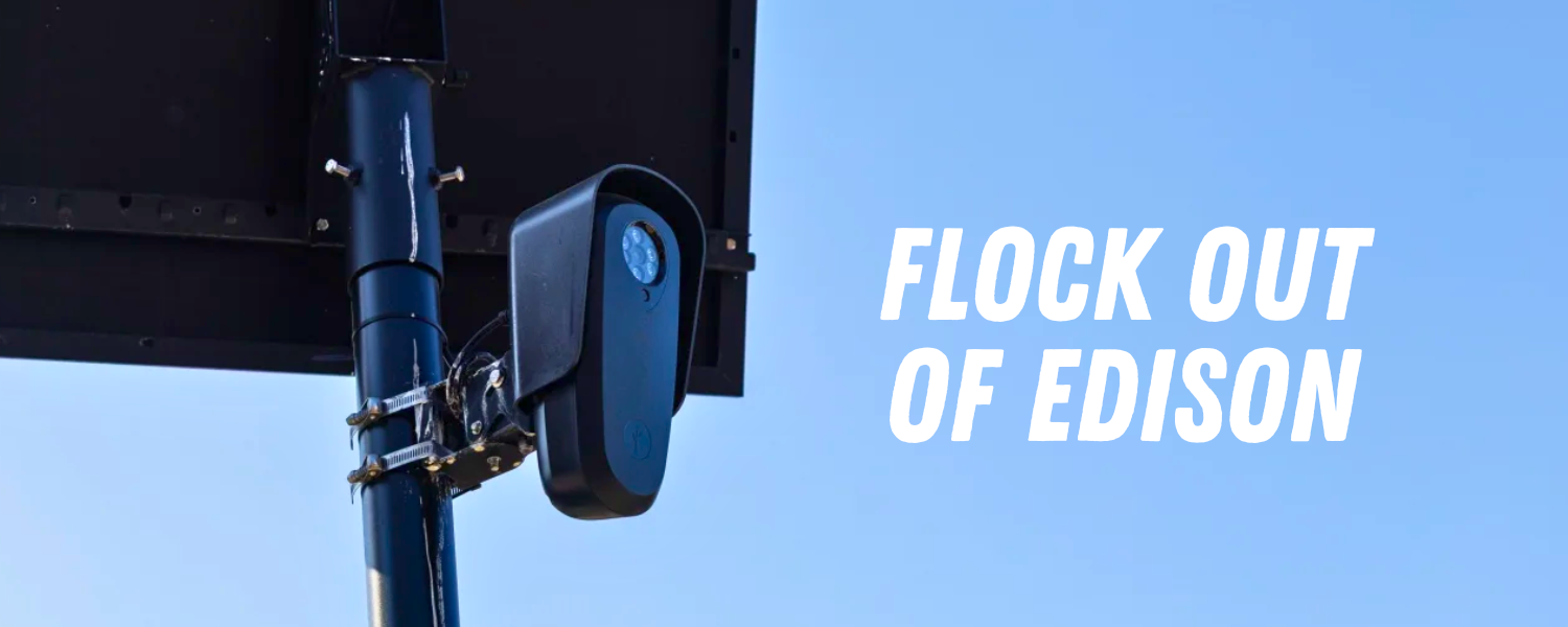 Photo of Flock Camera