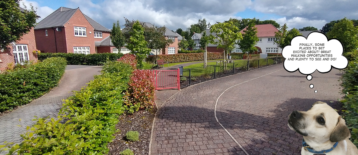 Photo of a housing estate with open space, greenery, a path, shrubs and flowers. An image of a dog with a cartoon speech bubble which says "Finally, some places to get excited about! Great walking opportunities and plenty of things to see and do."