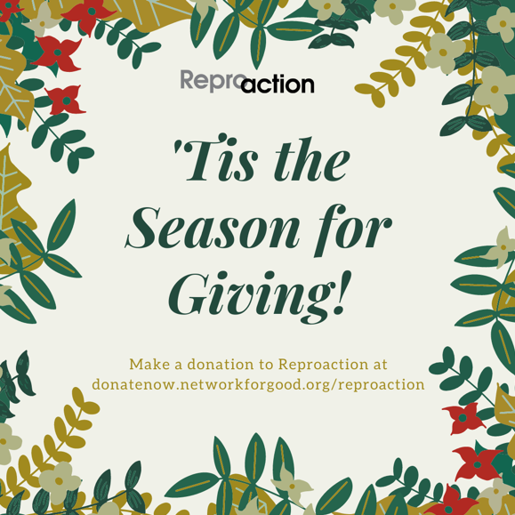 Graphic that reads "tis the season for giving make a donation to Reproaction"