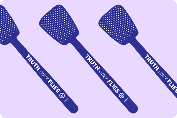 Image of the 'Truth Over Flies' fly swatter from the Official Democratic Store