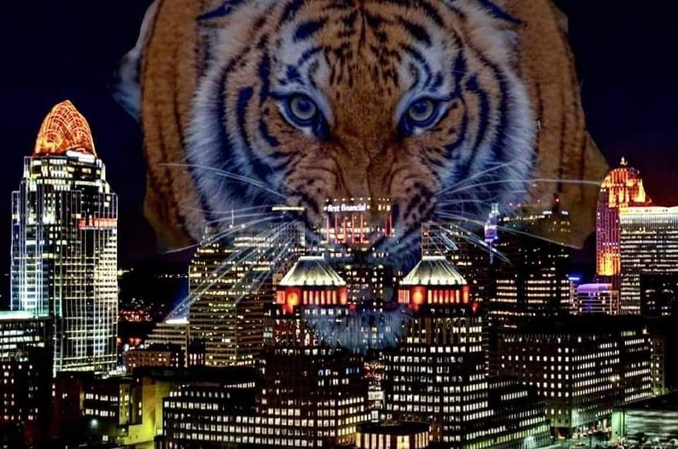 Cincinnati Public Schools celebrate Bengals with Who Dey spirit