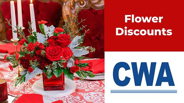 Discount Flowers