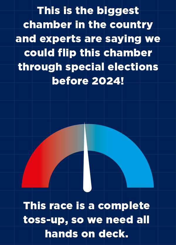 
                        This is the biggest chamber in the country and experts are saying we could flip this chamber through special elections before 2024! 
                        