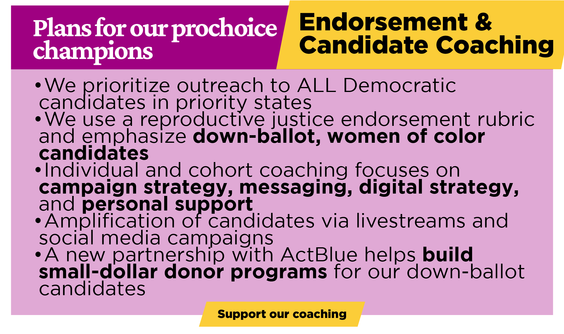 Endorsements and Candidate Coaching: We prioritize outreach to ALL Democratic candidates in priority states; We use a reproductive justice endorsement rubric and emphasize down-ballot, women of color candidates; Individual and cohort coaching focuses on campaign strategy, messaging, digital strategy, and personal support; Amplification of candidates via livestreams and social media campaigns; A new partnership with ActBlue helps build small-dollar donor programs for our down-ballot candidates.