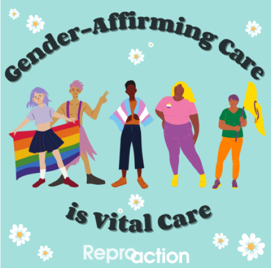 a blue background with white flowers shows five people holding different flags of the LGBTQ+ community. The people are surrounded by the words “Gender-affirming Care is vital care” beneath this is the reproaction logo in white.  