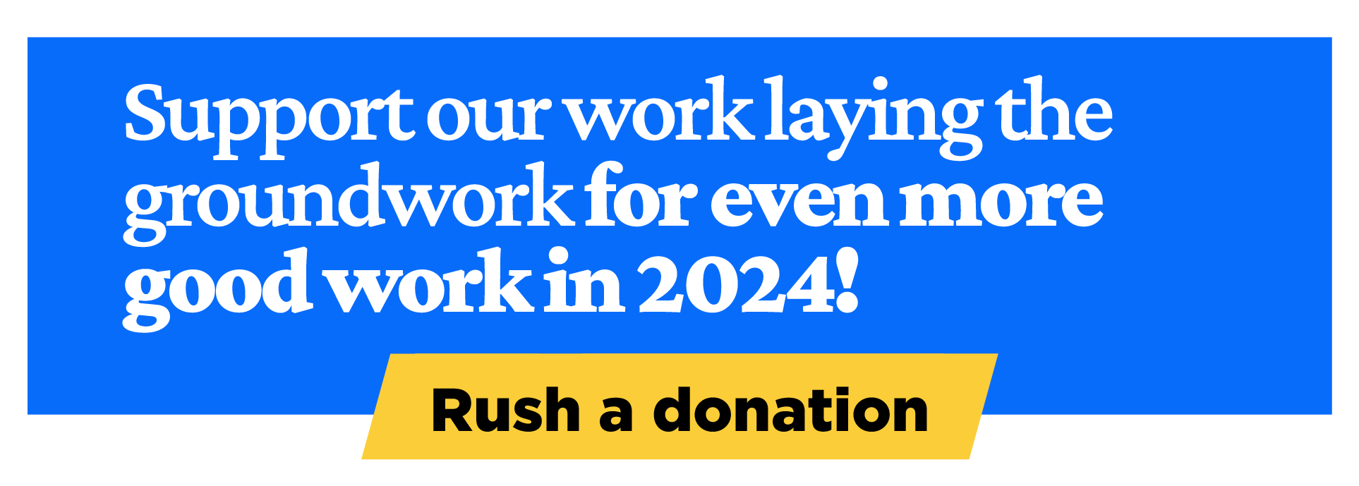 Support our work laying the groundwork for even more good work in 2024! Rush a donation