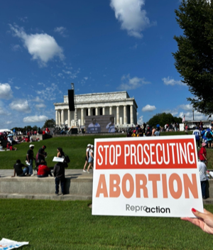 An orange and white sign with phrase "STOP PROSECUTING ABORTION / REPROACTION" is being held up. The national mall in Washington DC is in the backdrop with attendees scattered.]