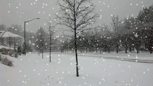 Snowstorm