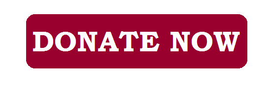 donate now