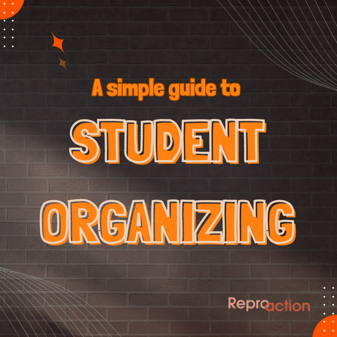 A brick background with orange circles on it reads “A simple guide to student organizing” beneath this is the Reproaction logo in orange.