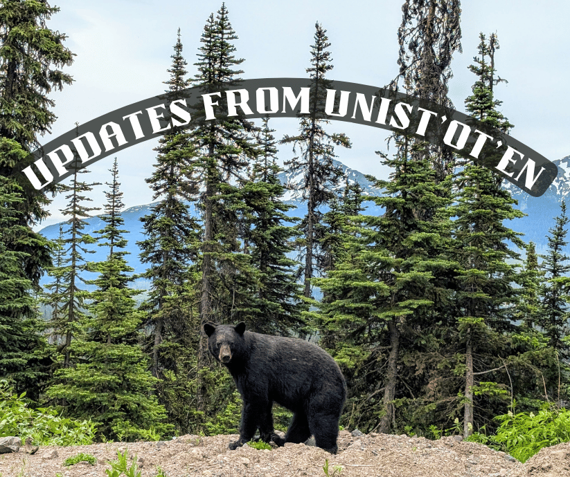 A black bear looks at the camera. Tall evergreens and blue mountains are behind him. A banner on the photo reads 