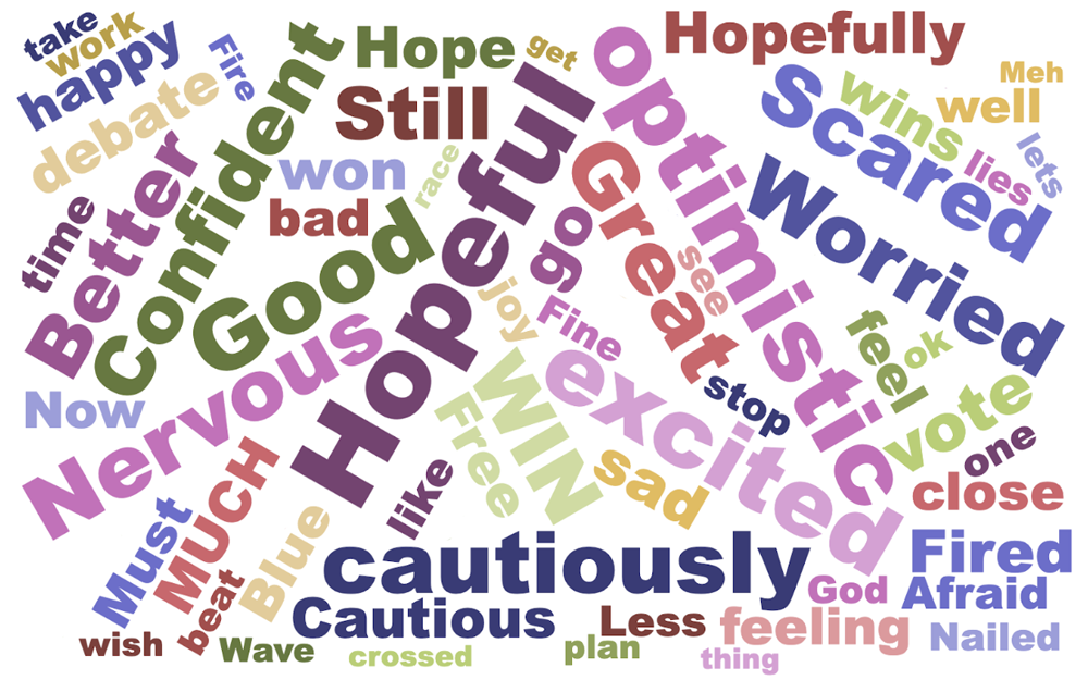 Image of a word cloud of how our members felt after watching the presidential debate