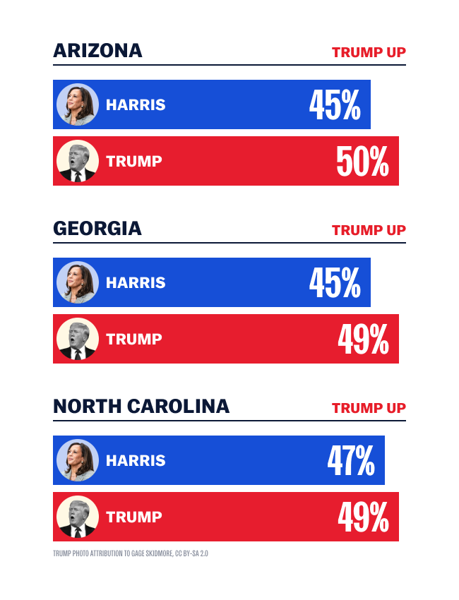 Polling Chart