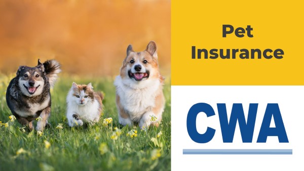 Union Plus Pet Insurance