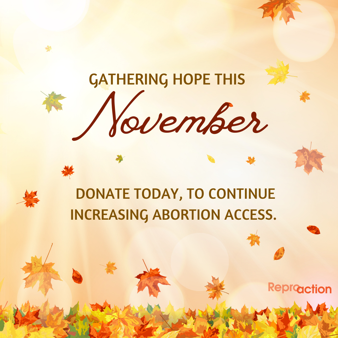 States "Gathering hope this November. Donate today, to continue increasing abortion access." Graphic has sun beams and leaves falling into a pile, with Reproaction logo.