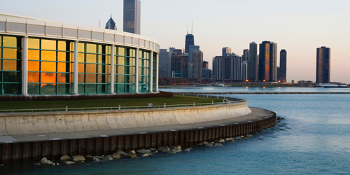 Shedd Aquarium Blog Preview