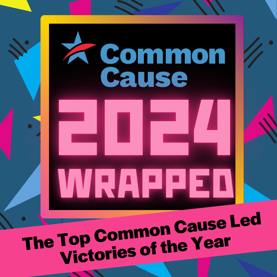 Common Cause 2024 Wrapped: The Top Common Cause Led Victories of the Year