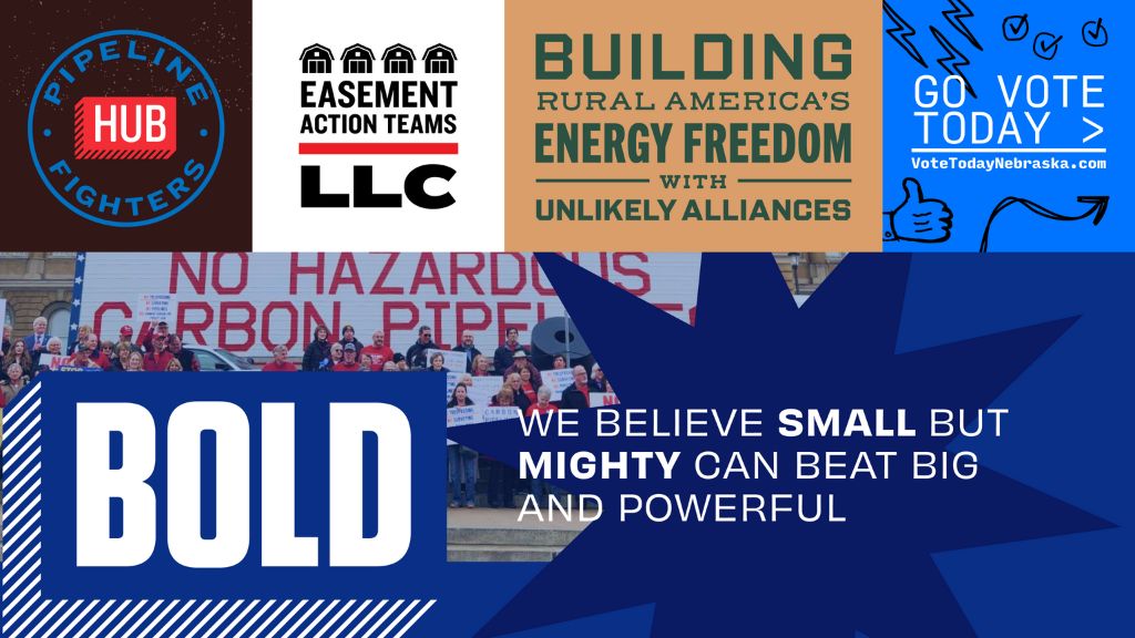 Give today to support Bold's work