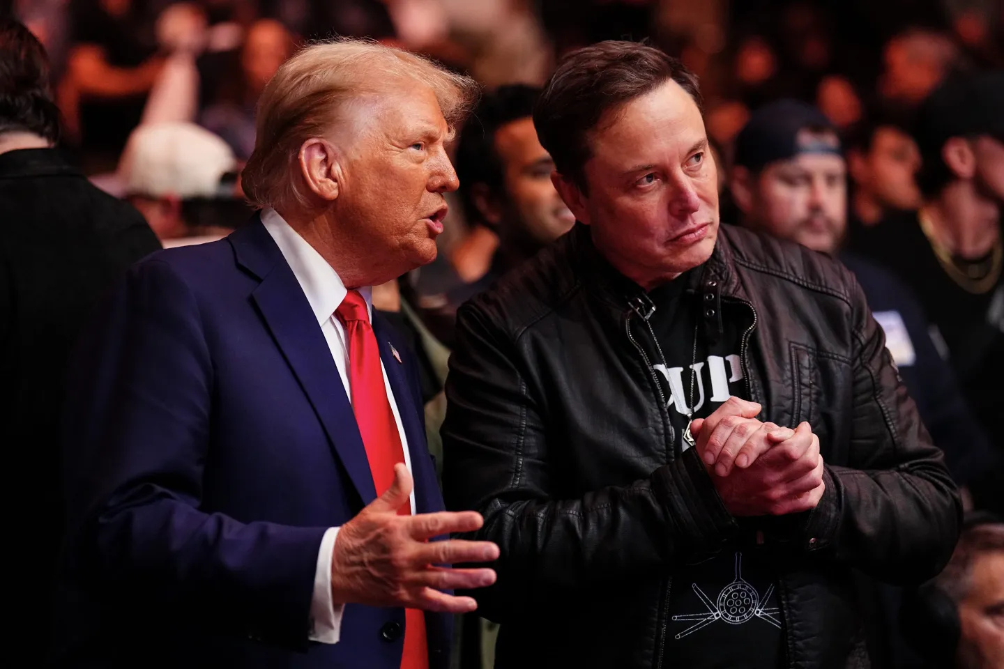 Donald Trump and Elon Musk