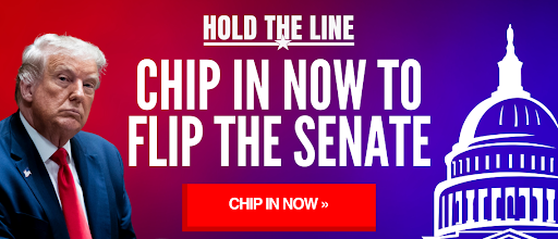 Hold the Line: Chip In Now to Flip the Senate - CHIP IN NOW