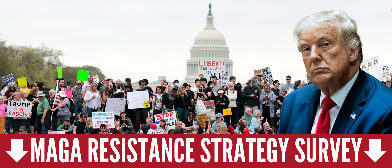 MAGA RESISTANCE STRATEGY SURVEY